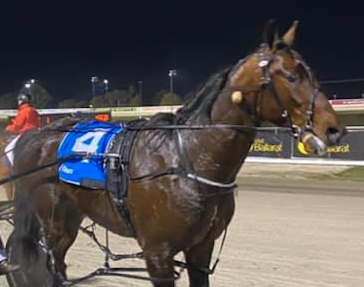 Alli to land a knockout blow